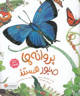 طبیعت-پروانه-ها-صبور-هستند