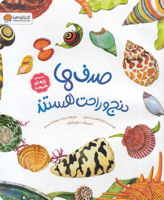 رازهای-طبیعت-صدف-ها-دنج-وراحت-هستند