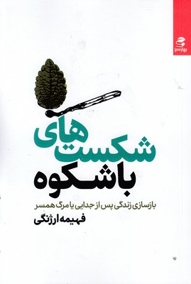 شکست-های-با-شکوه