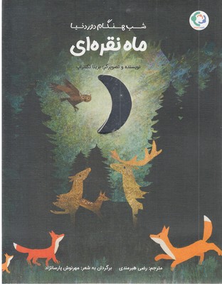 شب-هنگام-دور-دنیا-ماه-نقره-ای