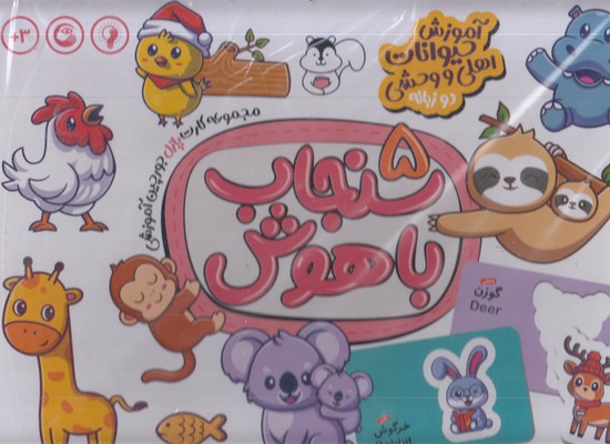 سنجاب-باهوش-5-آموزش-حیوانات-اهلی-ووحشی