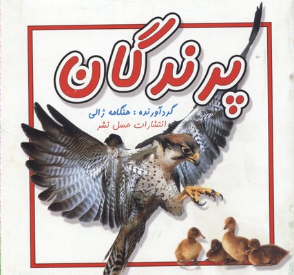 پرندگان(خشتی-کوچک)