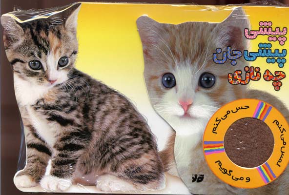 پیشی-پیشی-جان-چه-نازیr(حس-می-کنم)
