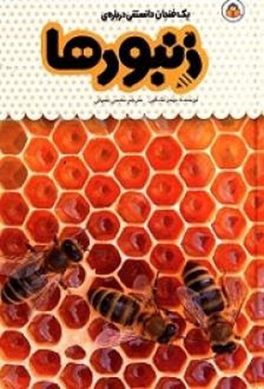 یک فنجان دانستنی درباره زنبورها