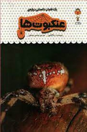 یک فنجان دانستنی درباره عنکبوت ها