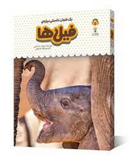 یک فنجان دانستنی درباره فیل ها
