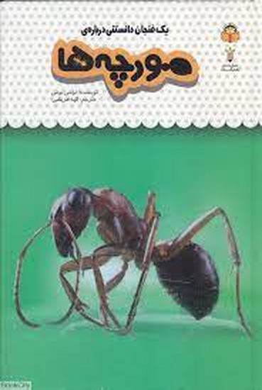 یک فنجان دانستنی درباره مورچه ها