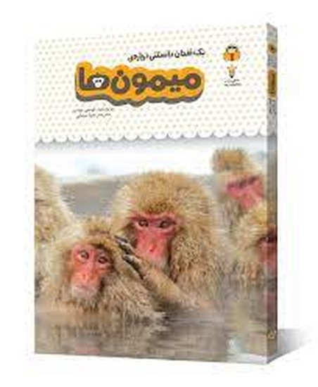 یک فنجان دانستنی درباره میمون ها