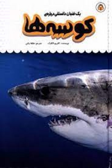 یک فنجان دانستنی درباره کوسه ها
