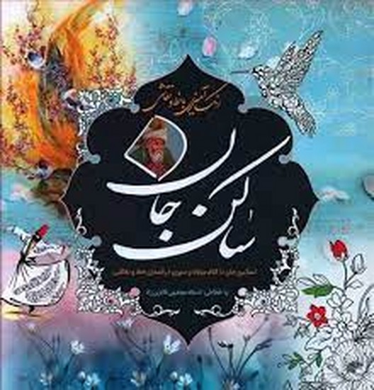 رنگ آمیزی ساکن جان