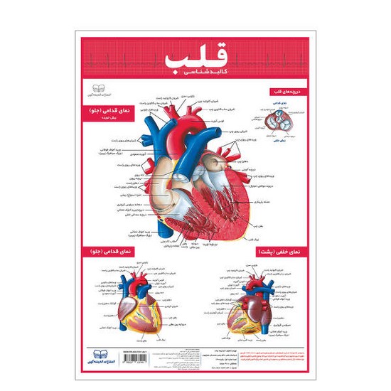 اندیشه کهن پوستر قلب 35*50