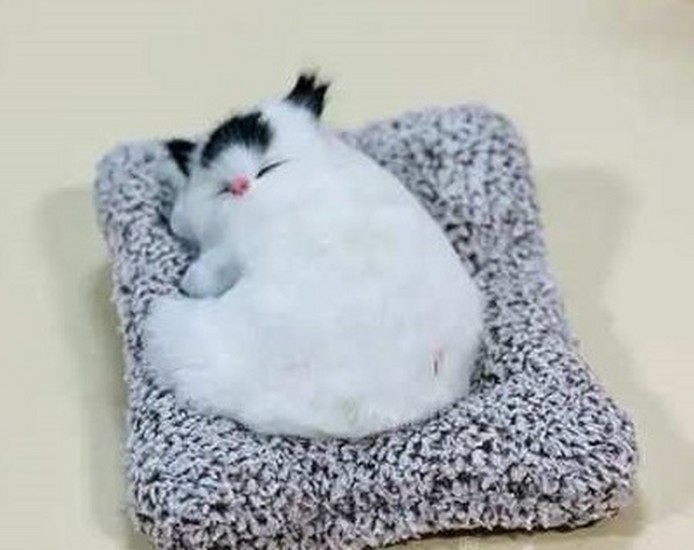 گربه خوابیده صدادار کوچک