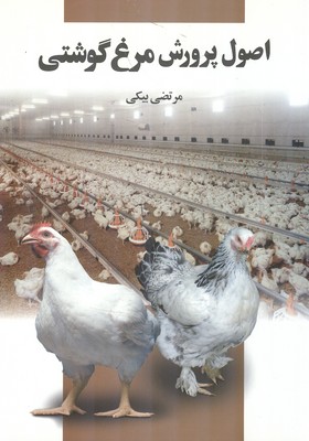 اصول پرورش مرغ گوشتی (بیکی) مرز دانش