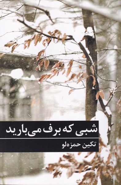 شبی که برف می بارید