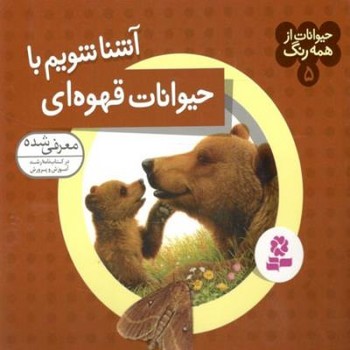 حیوانات از همه رنگ 5 (آشنا شویم با حیوانات قهوه ای)،(گلاسه،شمیز،خشتی کوچک،قدیانی)