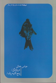 دریازدگی/پنج ثانیه برف/ 
