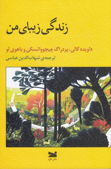 زندگی زیبای من