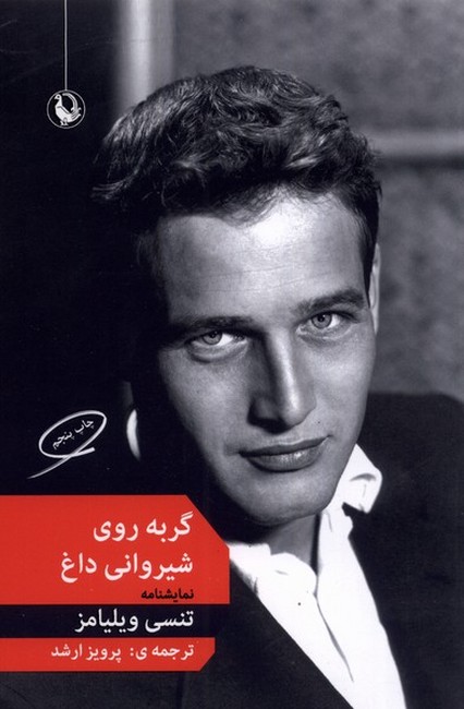 گربه روی شیروانی داغ 