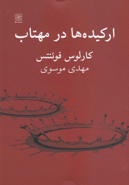 ارکیده‌ها در مهتاب