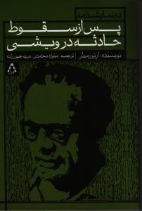 پس از سقوط و حادثه در ویشی
