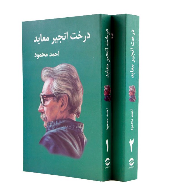 درخت انجیر معابد (2جلدی)