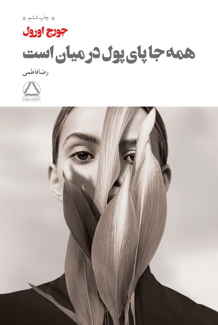 همه جا پای پول در میان است 