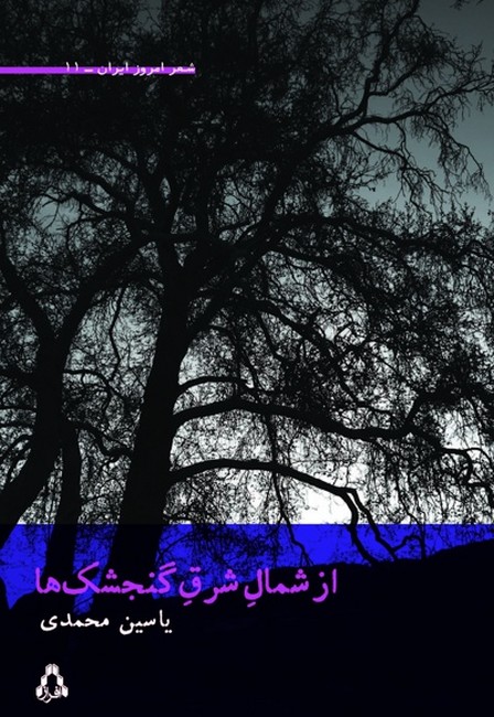 تصویر  از شمال شرق گنجشک‌ها