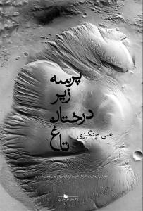 تصویر  پرسه زیر درختان تاغ