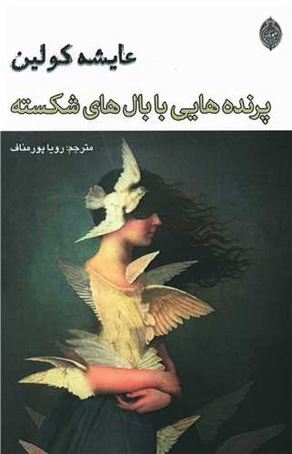 تصویر  پرنده‌هایی با بال‌های شکسته