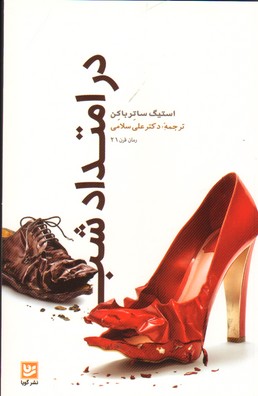 در امتداد شب