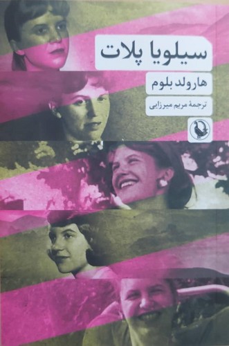 سیلویا پلات (چشم اندازی تحلیلی و انتقادی از شعرها)