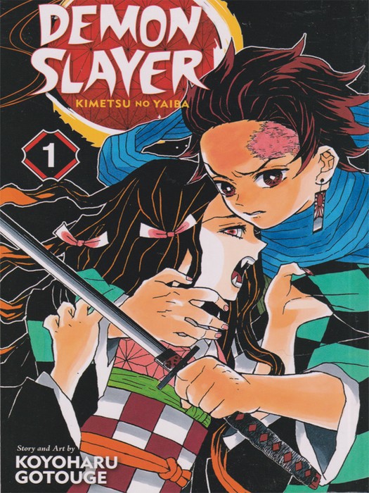 Demon Slayer-VOL1