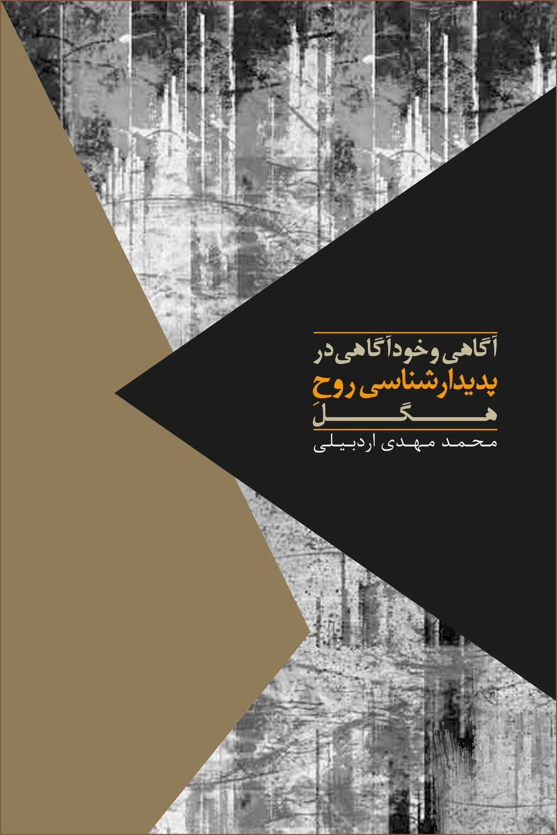 آگاهی و خودآگاهی در پدیدار شناسی روح هگل (شمیز،رقعی،روزبهان)