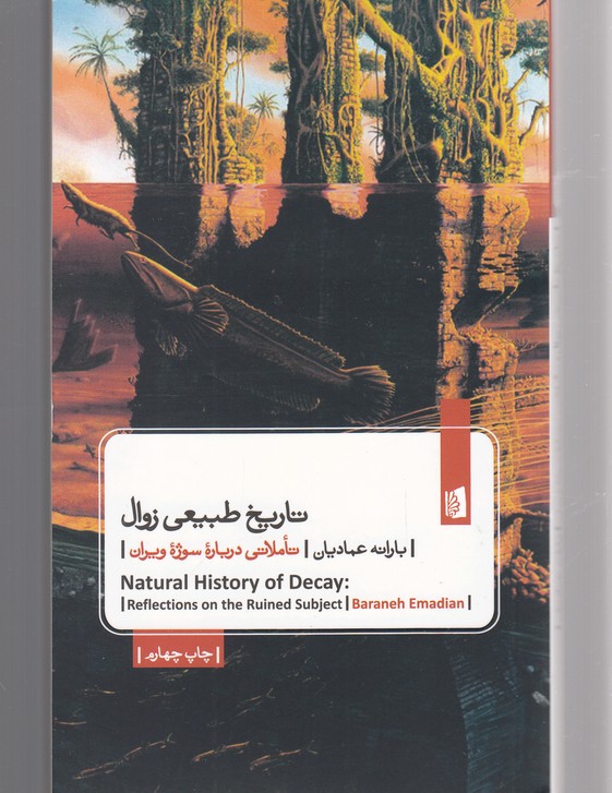 تاریخ طبیعی زوال (تاملاتی درباره سوژه ویران)،(شمیز،جیبی،بیدگل)