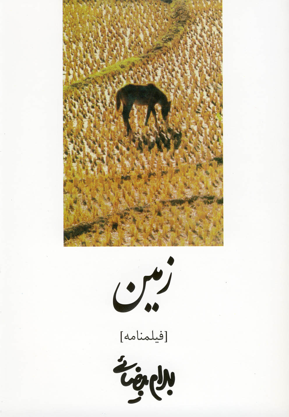 فیلمنامه زمین (شمیز،رقعی،روشنگران و مطالعات زنان)