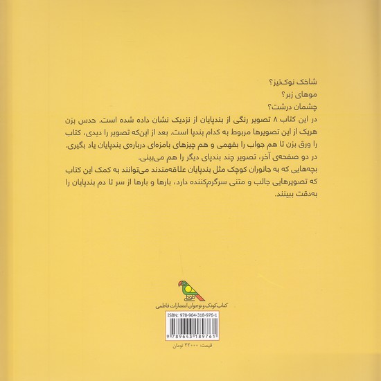 Back Cover