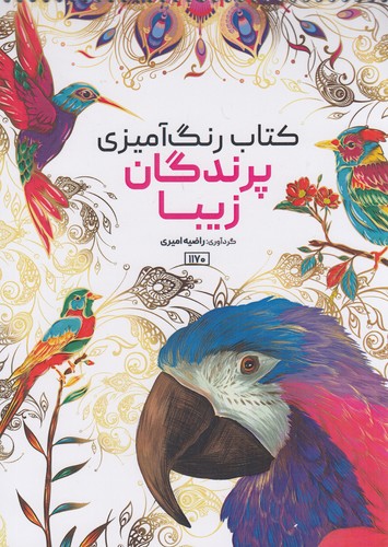 کتاب-رنگ-آمیزی---پرندگان-زیبا-(حتمی)-رحلی-شومیز-سیمی