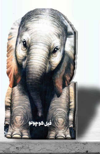 فیل-کوچولو-(زنبور)-رحلی-سخت