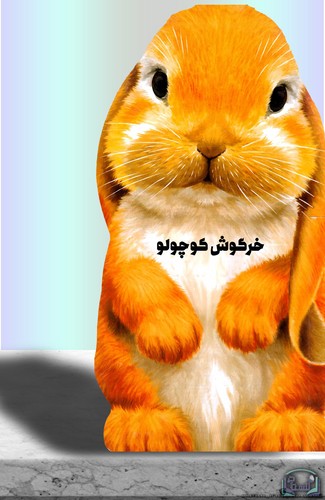 خرگوش-کوچولو-(زنبور)-رحلی-سخت