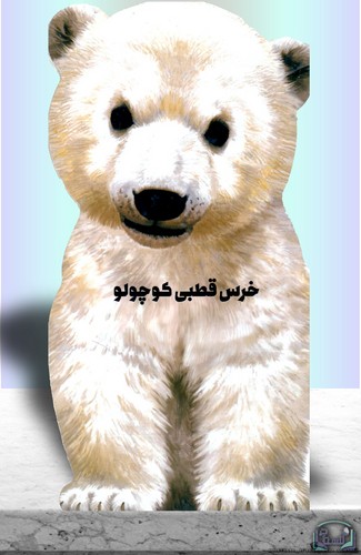 خرس-قطبی-کوچولو-(زنبور)-رحلی-سخت