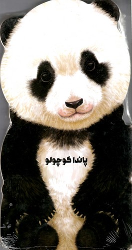 پاندا-کوچولو-(زنبور)-رحلی-سخت