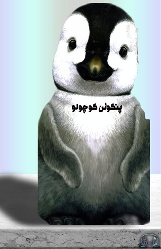 پنگوئن-کوچولو-(زنبور)-رحلی-سخت