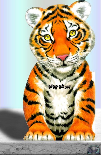 ببر-کوچولو-(زنبور)-رحلی-سخت
