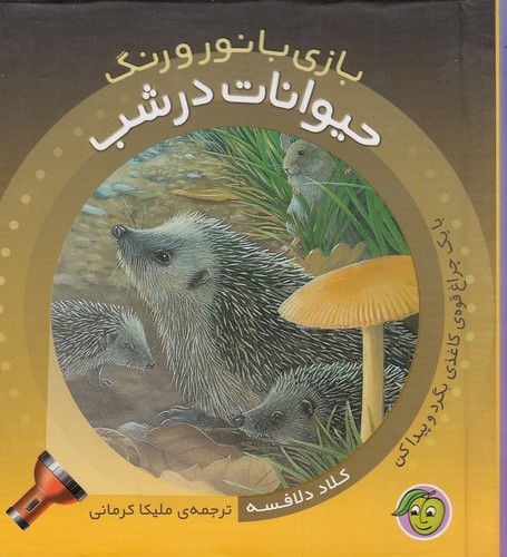 بازی-با-نور-و-رنگ---حیوانات-در-شب-(پیام-مشرق)-نیم-خشتی-سلفون