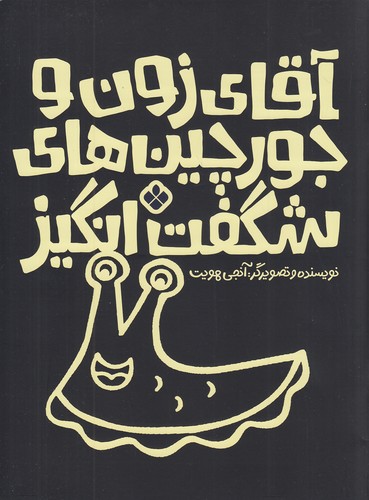 آقای-زون-و-جورچین-های-شگفت-انگیز-(پنجره)-رحلی-شومیز