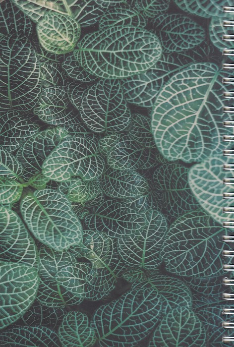 دفترچه-یادداشت-(هماشید)-رقعی-سخت-سیمی-224