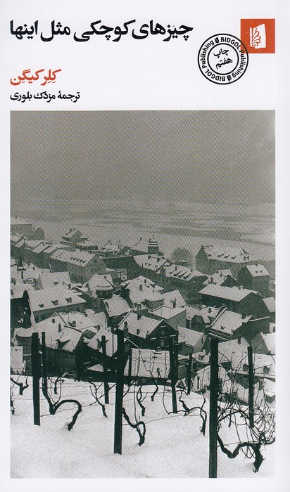 چیزهای-کوچکی-مثل-اینها-(بیدگل)-پالتویی-شومیز