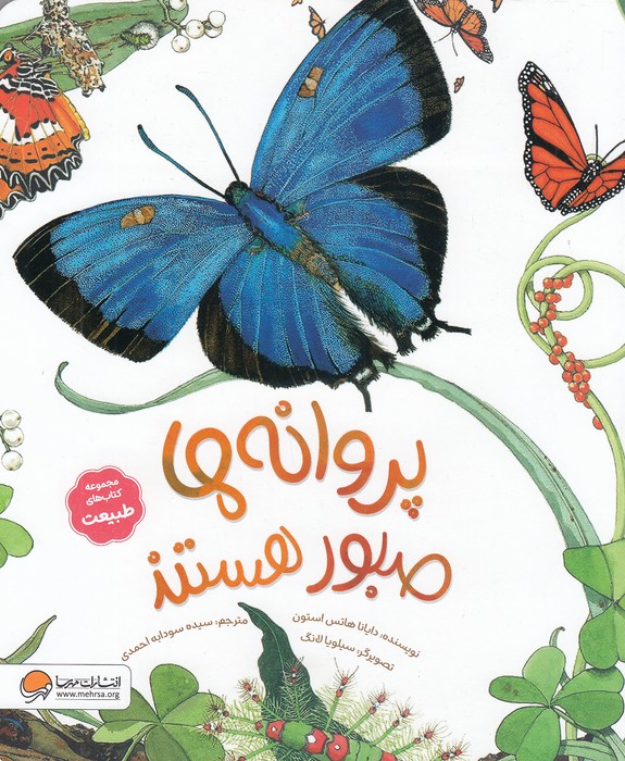 کتاب-های-طبیعت---پروانه-ها-صبور-هستند-(مهرسا)-رحلی-شومیز