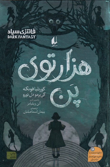 هزارتوی-پن-(افق)-رقعی-سلفون