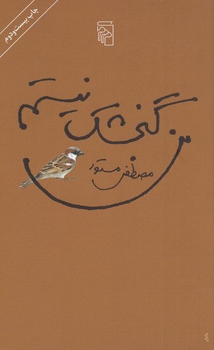 من-گنجشک-نیستم-(مرکز)-پالتویی-شومیز